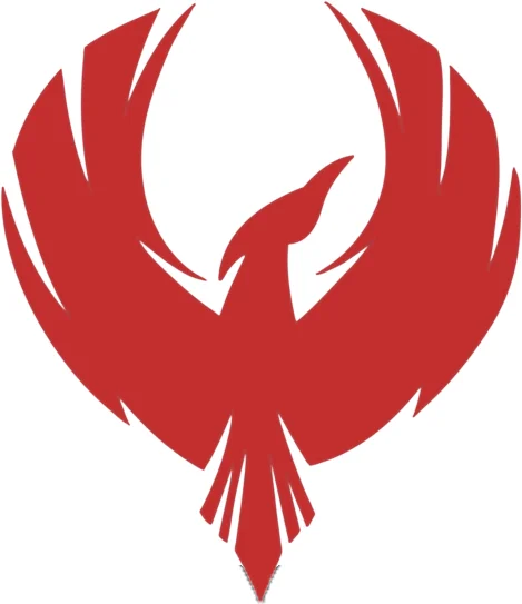 Fènix Jiu Jitsu facility image