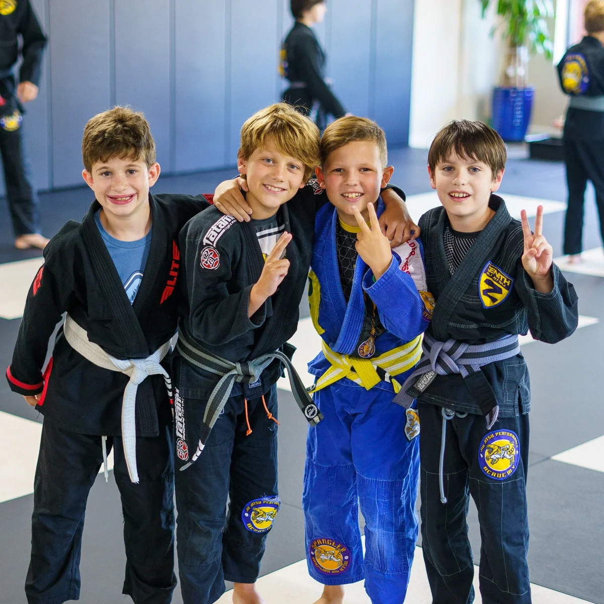 Jiu Jitsu Performance Academy facility image