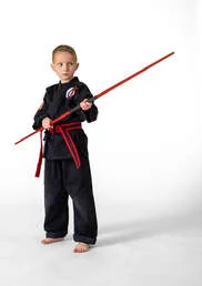 Kinchen Martial Arts Academy academy logo