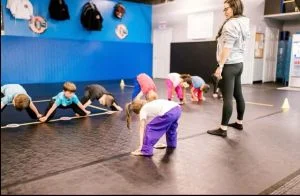 North Carolina Martial Arts facility image