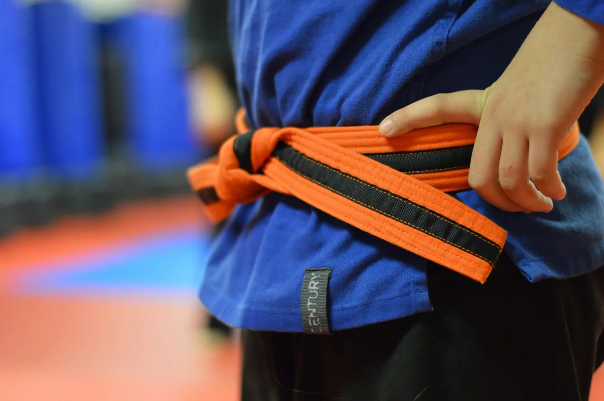 School Of Fighting Arts facility image