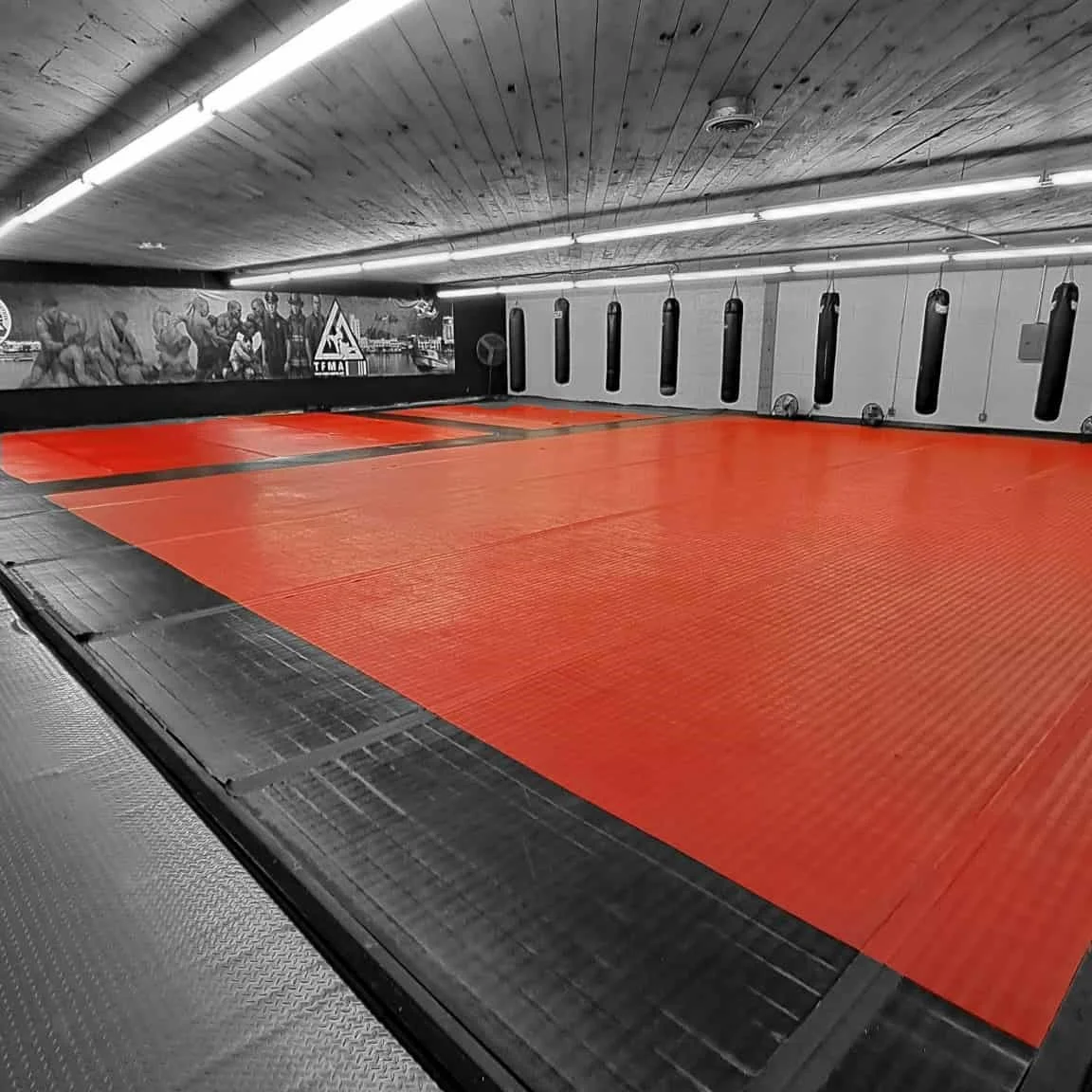Tinsley Family Martial Arts facility image