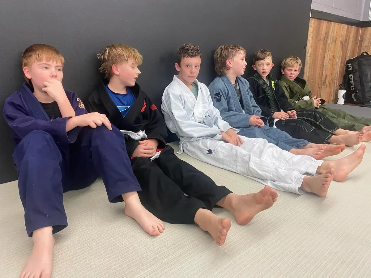 Victory Martial Arts (BJJ) facility image