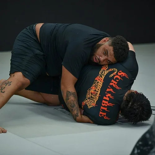 Victory Martial Arts (BJJ) facility image