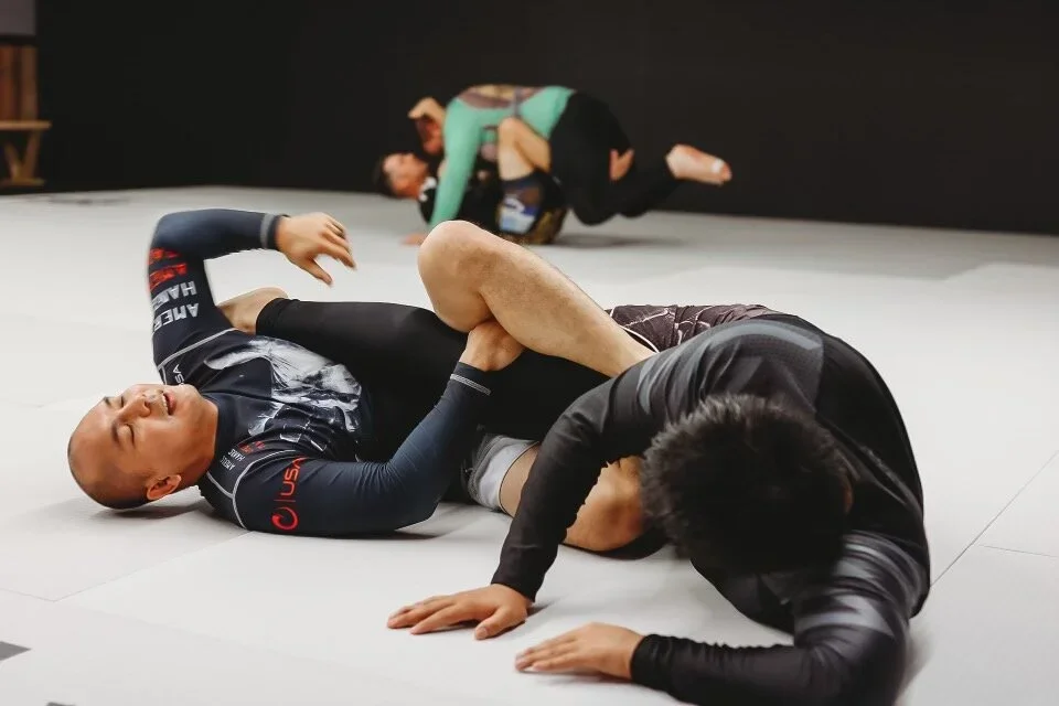 Victory Martial Arts (BJJ) facility image