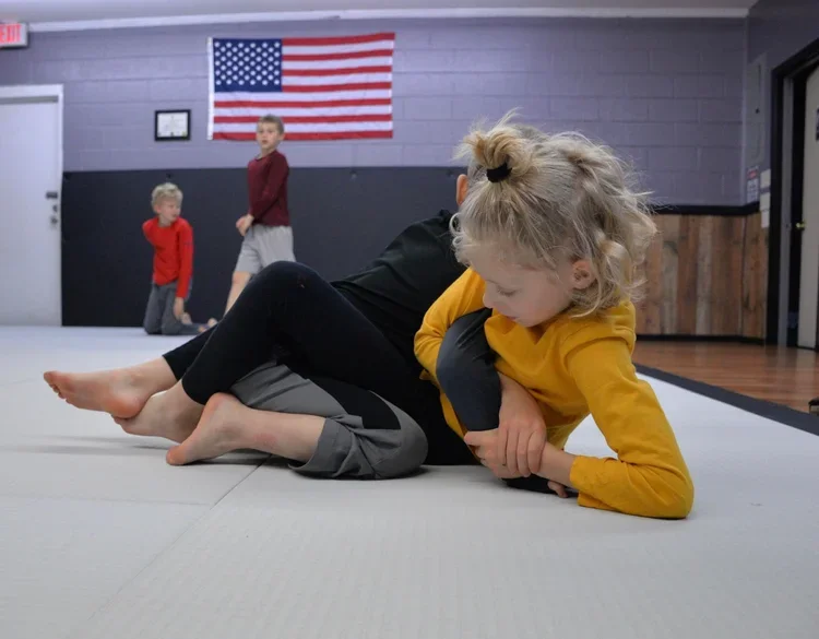 Victory Martial Arts (BJJ) facility image
