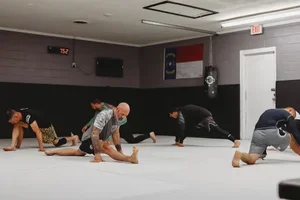 Victory Martial Arts (BJJ) facility image