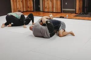 Victory Martial Arts (BJJ) facility image