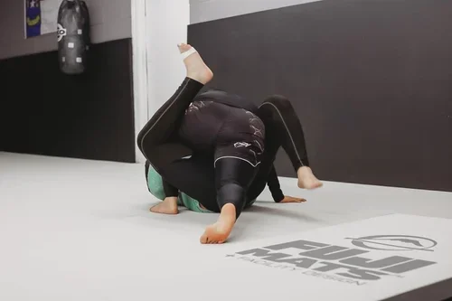 Victory Martial Arts (BJJ) facility image