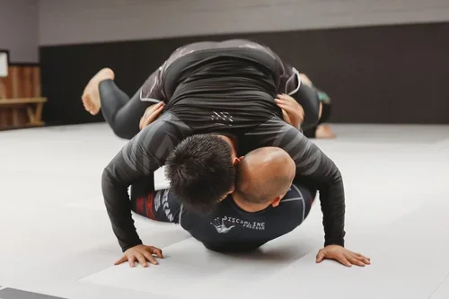 Victory Martial Arts (BJJ) facility image