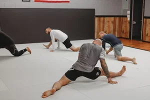 Victory Martial Arts (BJJ) facility image