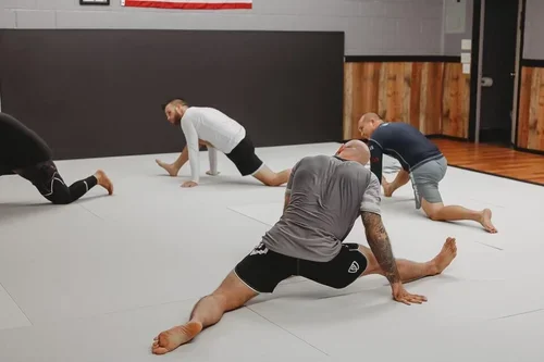 Victory Martial Arts (BJJ) facility image