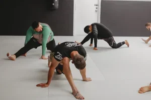 Victory Martial Arts (BJJ) facility image