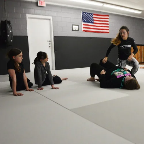 Victory Martial Arts (BJJ) facility image