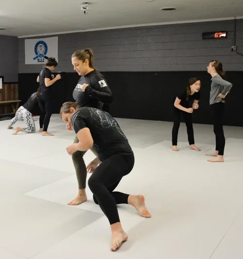 Victory Martial Arts (BJJ) facility image