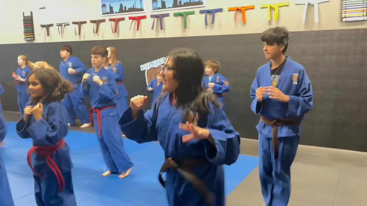 Vinjo’s Martial Arts facility image