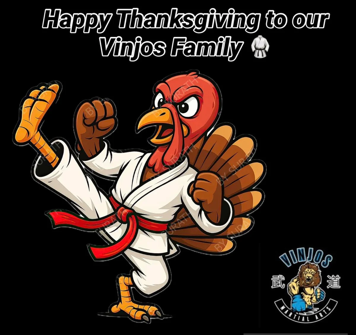 Vinjo’s Martial Arts facility image
