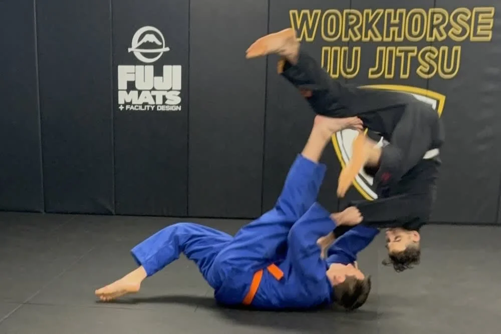 Workhorse Jiu Jitsu Academy facility image