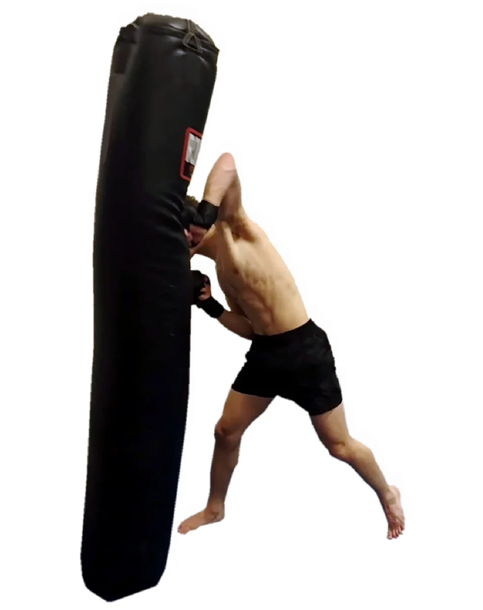 Zen Jiu-Jitsu & Fitness Academy facility image