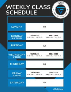 Elite BJJ facility image