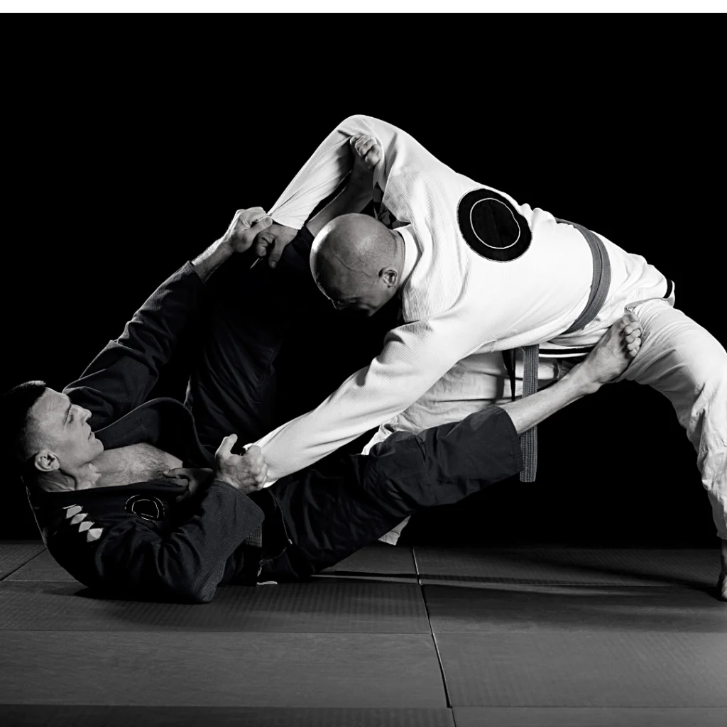 Elite BJJ facility image