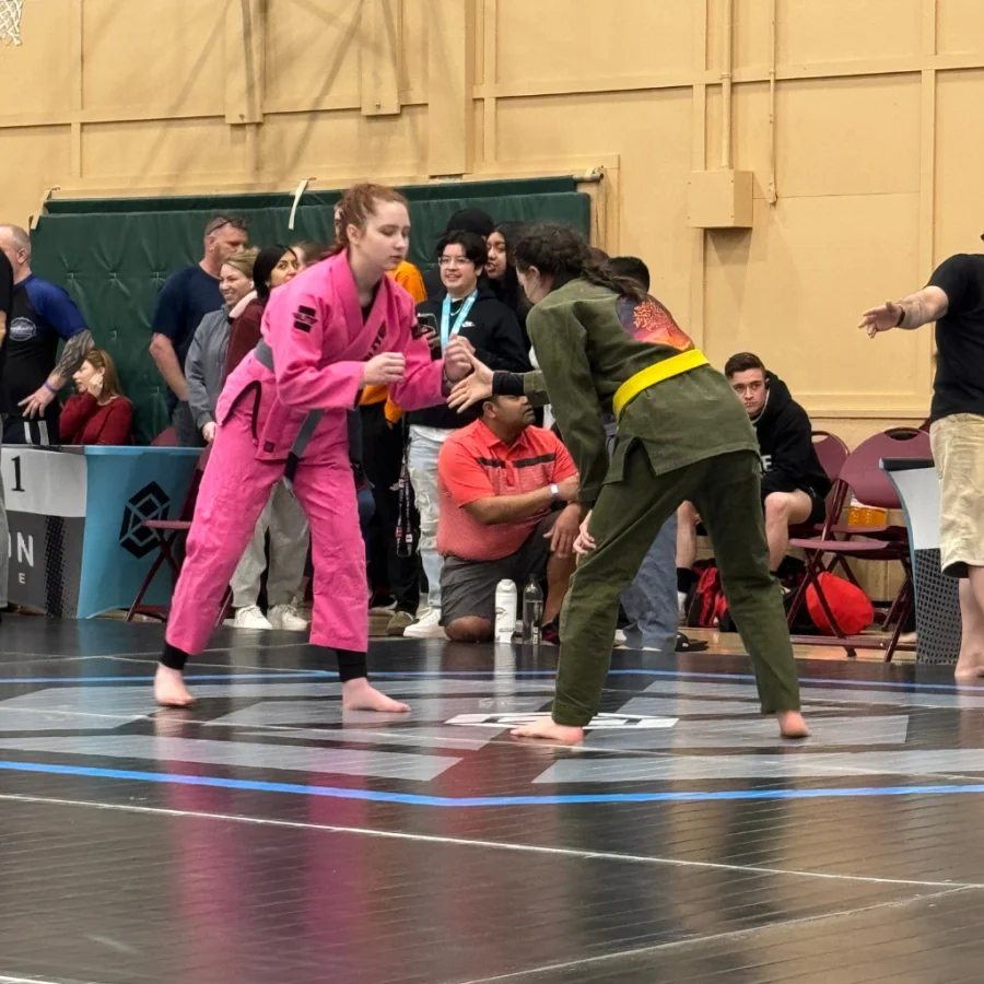 Elite BJJ facility image