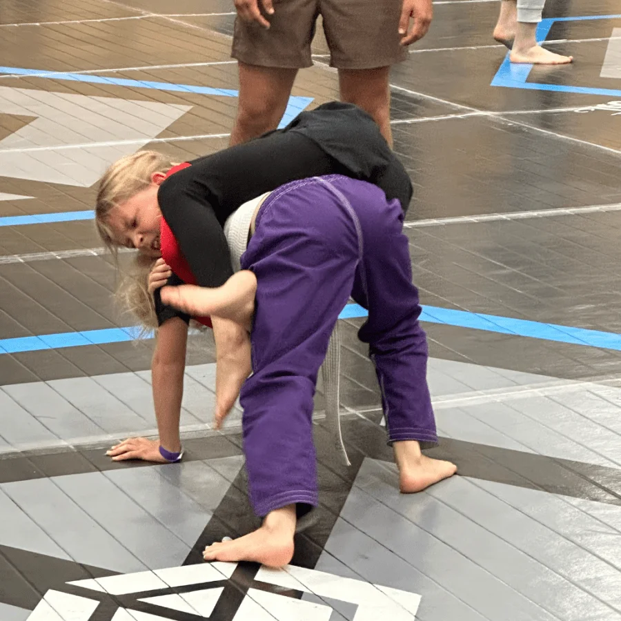 Elite BJJ facility image