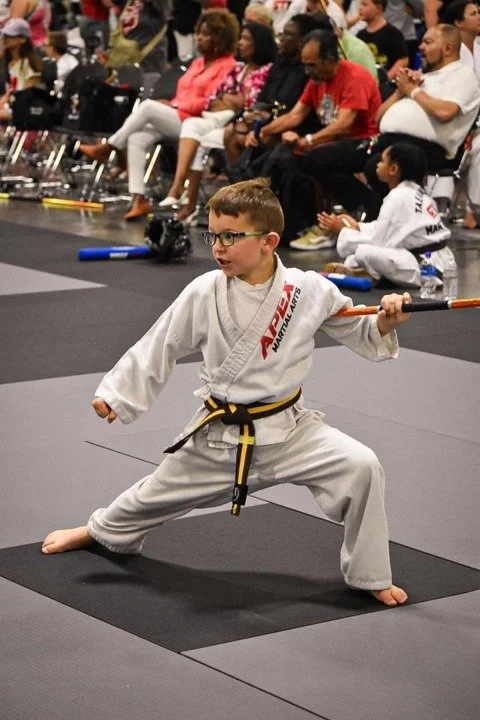 Apex Martial Arts facility image