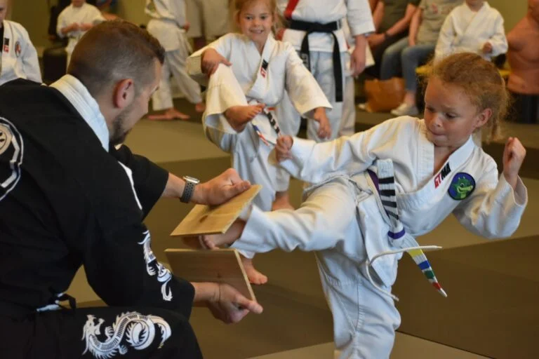 Apex Martial Arts facility image