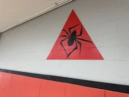 Lincoln Brazilian Jiu-Jitsu Center - Havelock facility image