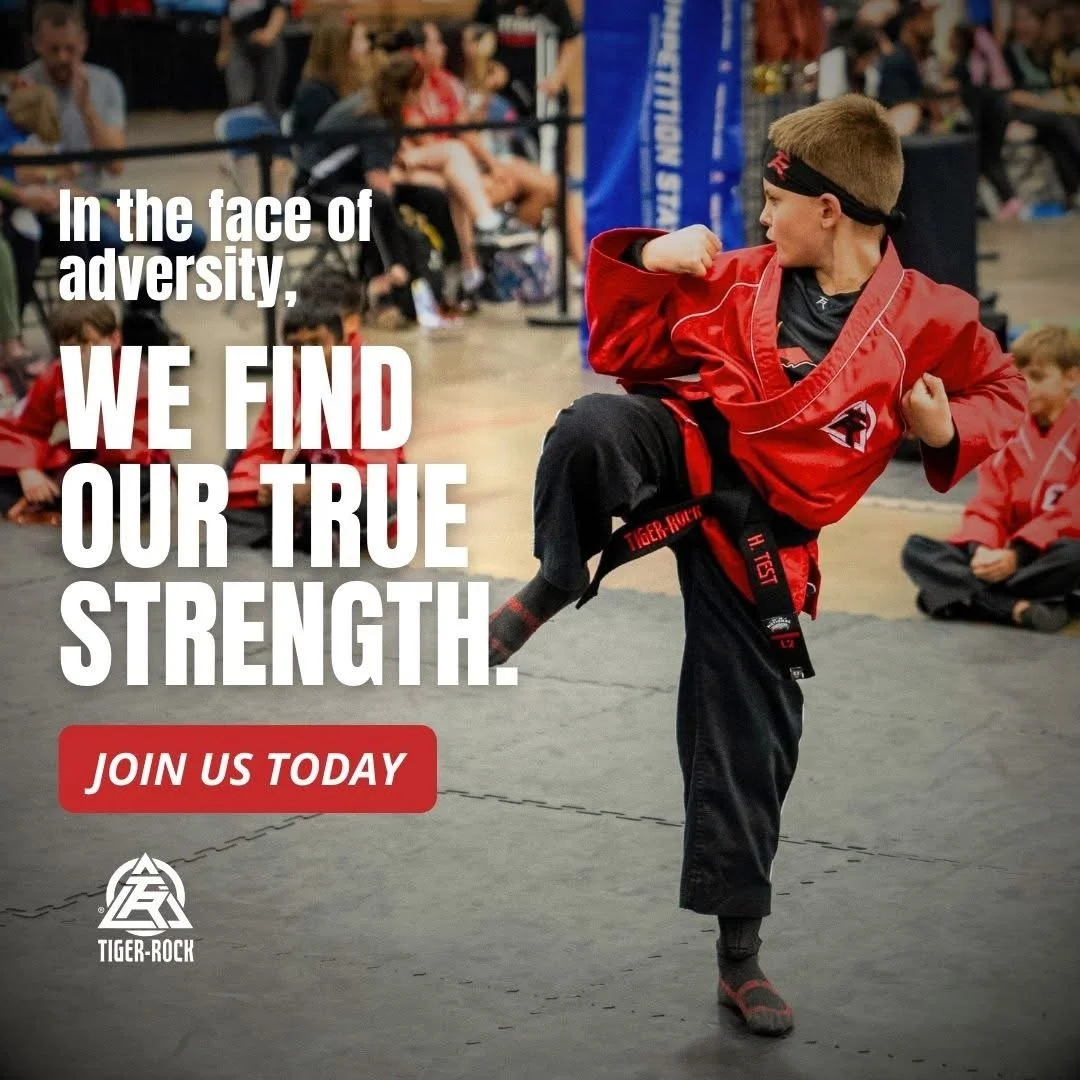 Tiger Rock Martial Arts Academy facility image