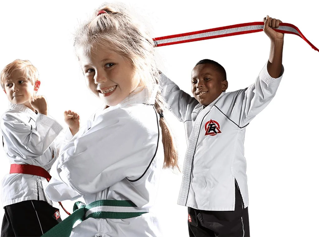 Tiger Rock Martial Arts Academy facility image