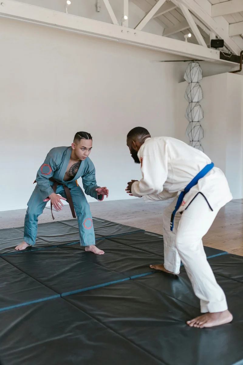 Flow With The Go Jiu Jitsu facility image