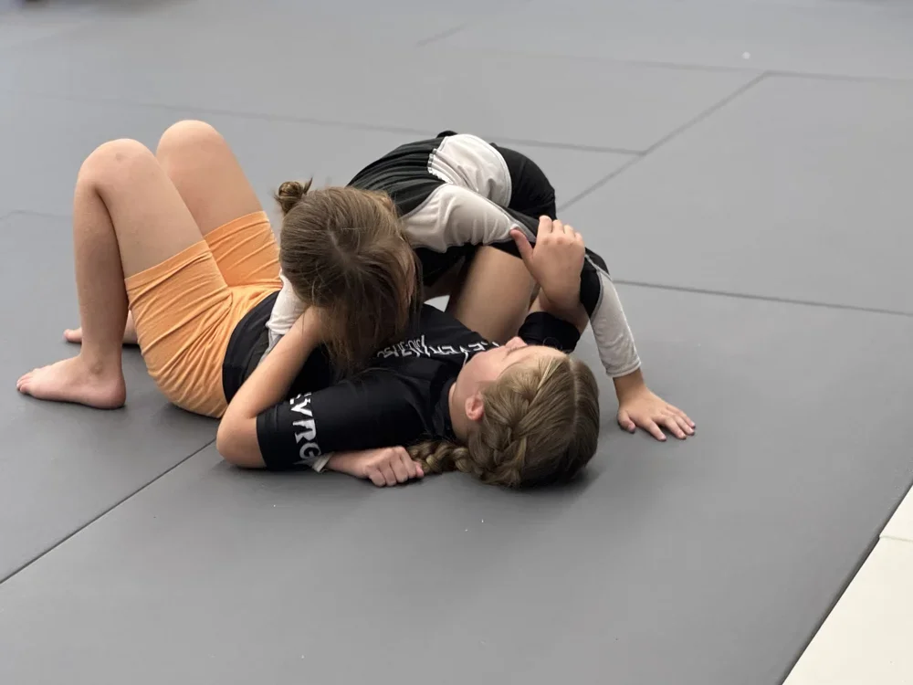 Leverage BJJ NH facility image
