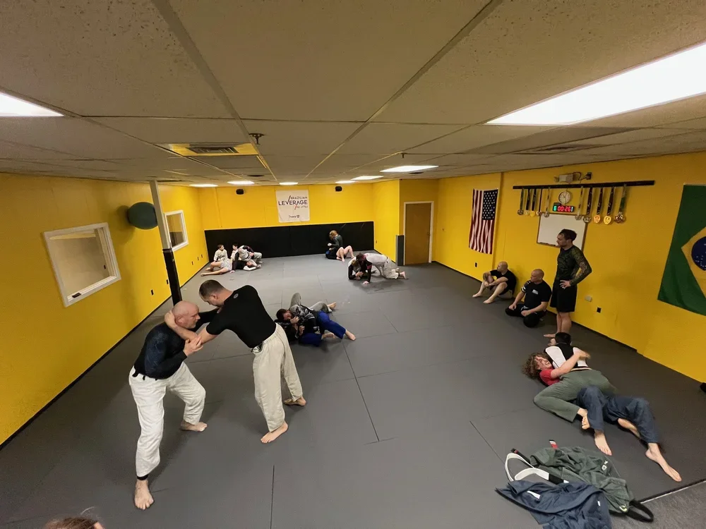 Leverage BJJ NH facility image