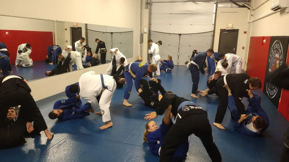 New England Brazilian Jiu-Jitsu Academy facility image