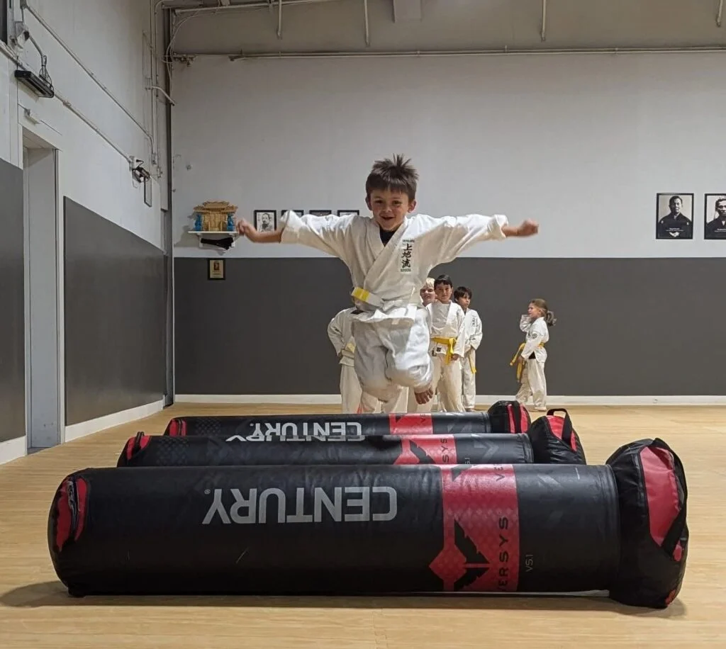 White Mountain Karate facility image