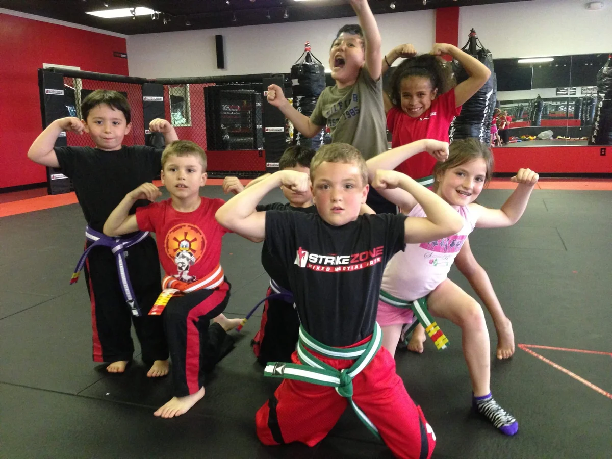 Strikezone Mixed Martial Arts facility image