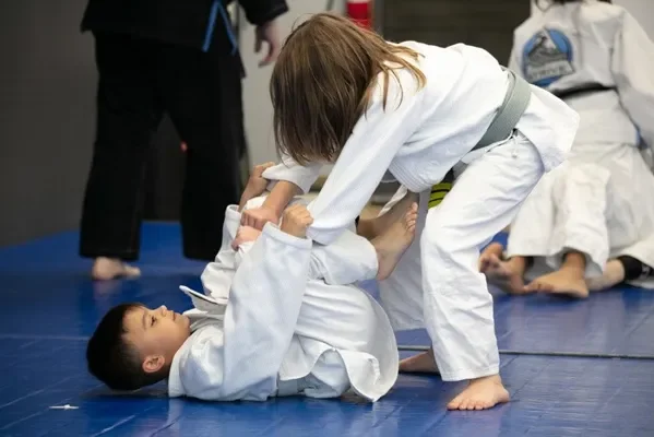 Strive Bjj academy logo