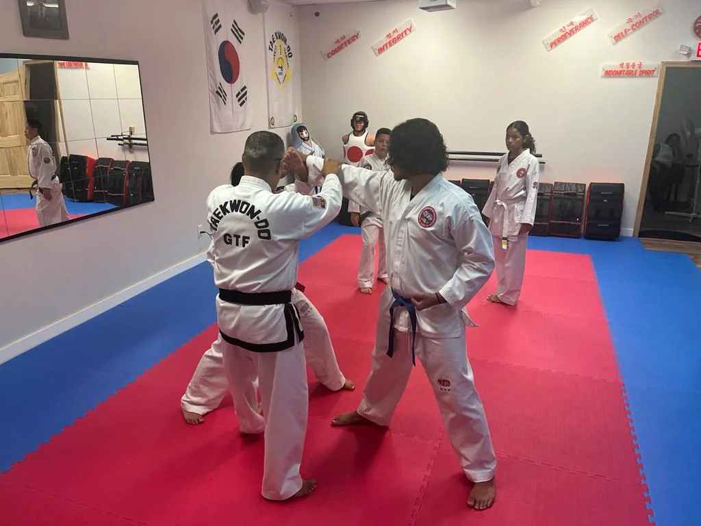 Taekwon-Do Mixed Martial Arts Fitness Academy (T.M.F.A.) facility image