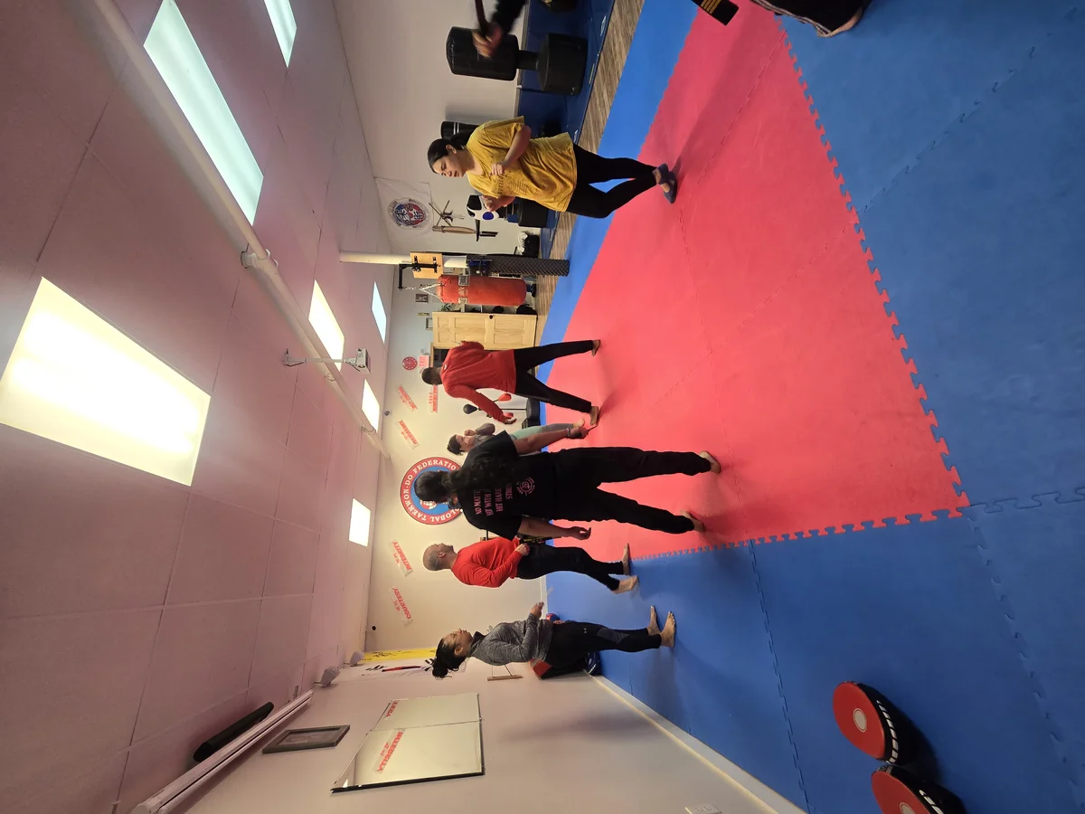 Taekwon-Do Mixed Martial Arts Fitness Academy (T.M.F.A.) facility image
