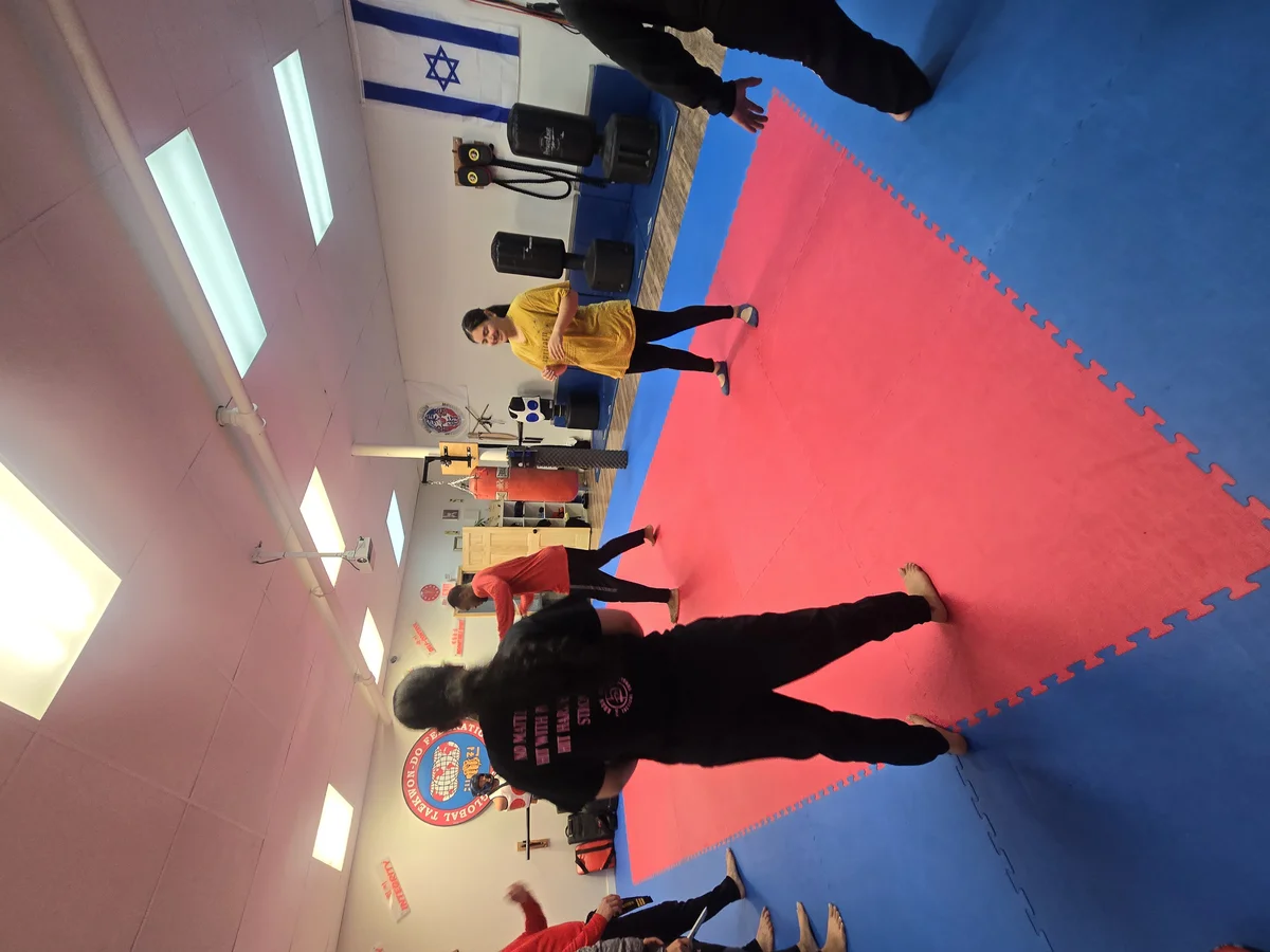 Taekwon-Do Mixed Martial Arts Fitness Academy (T.M.F.A.) facility image