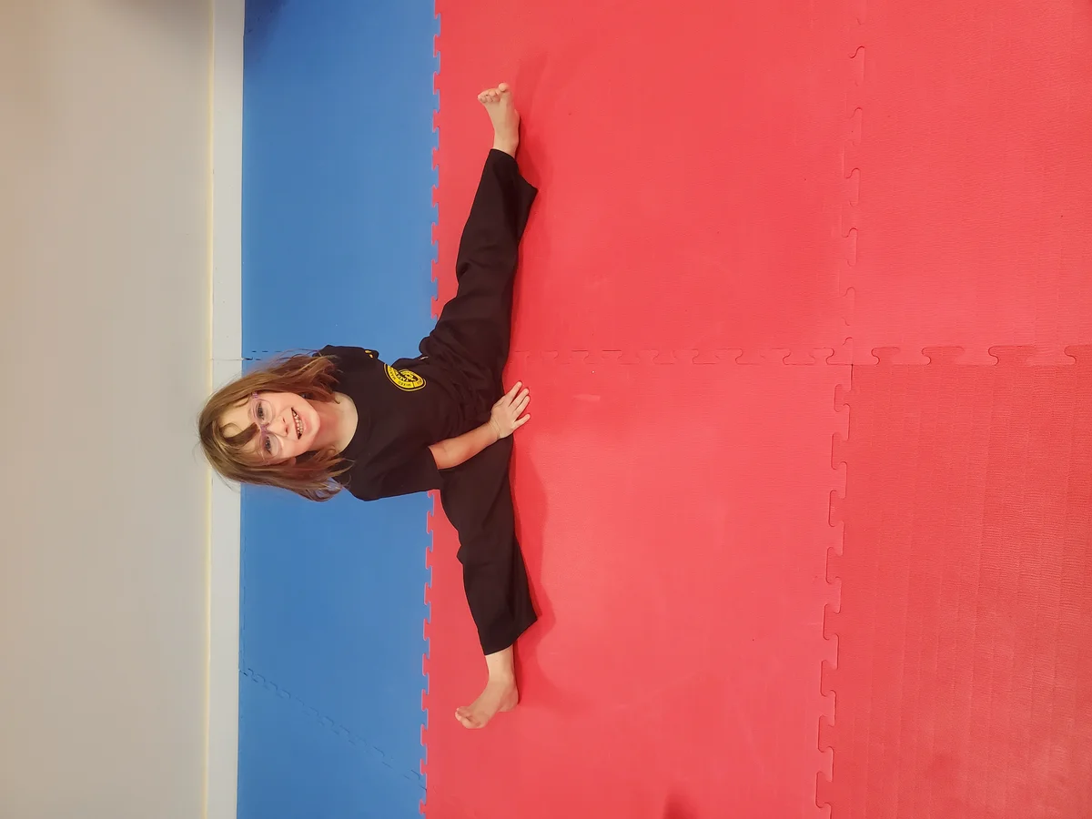 Taekwon-Do Mixed Martial Arts Fitness Academy (T.M.F.A.) facility image