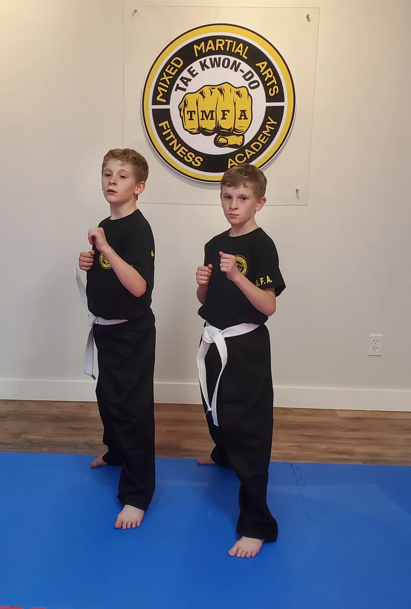 Taekwon-Do Mixed Martial Arts Fitness Academy (T.M.F.A.) facility image