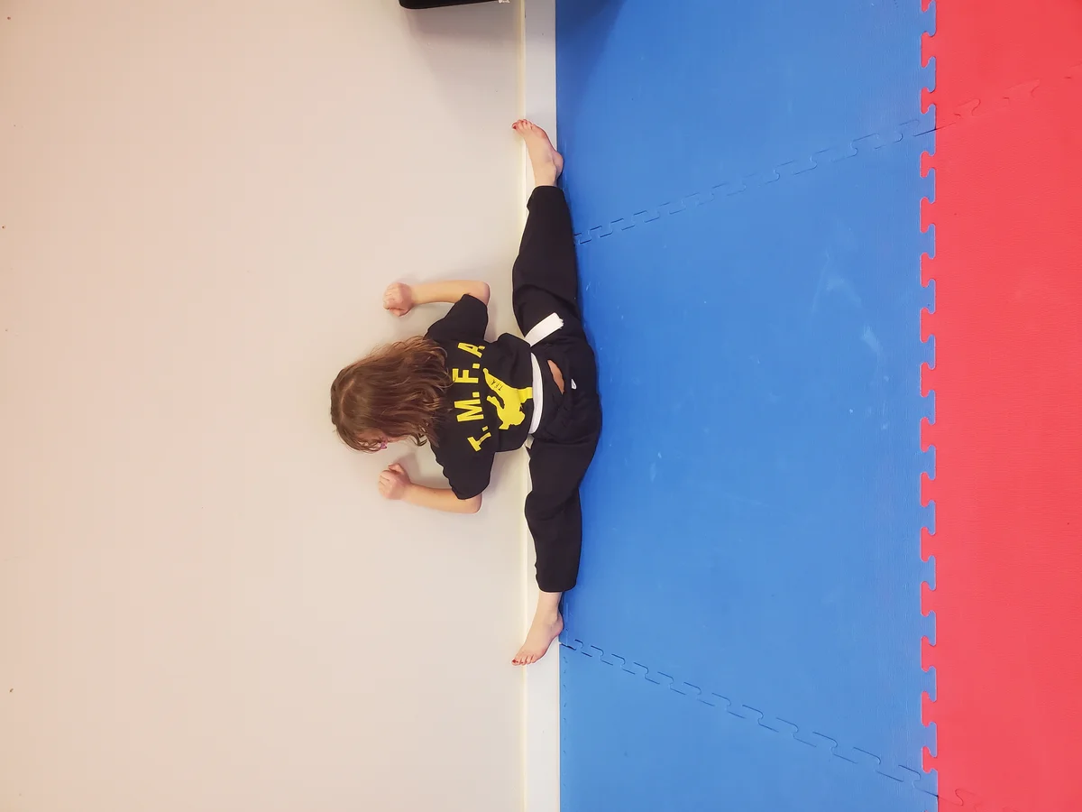 Taekwon-Do Mixed Martial Arts Fitness Academy (T.M.F.A.) facility image