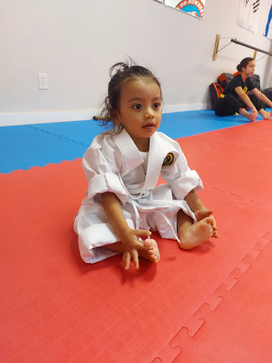 Taekwon-Do Mixed Martial Arts Fitness Academy (T.M.F.A.) facility image