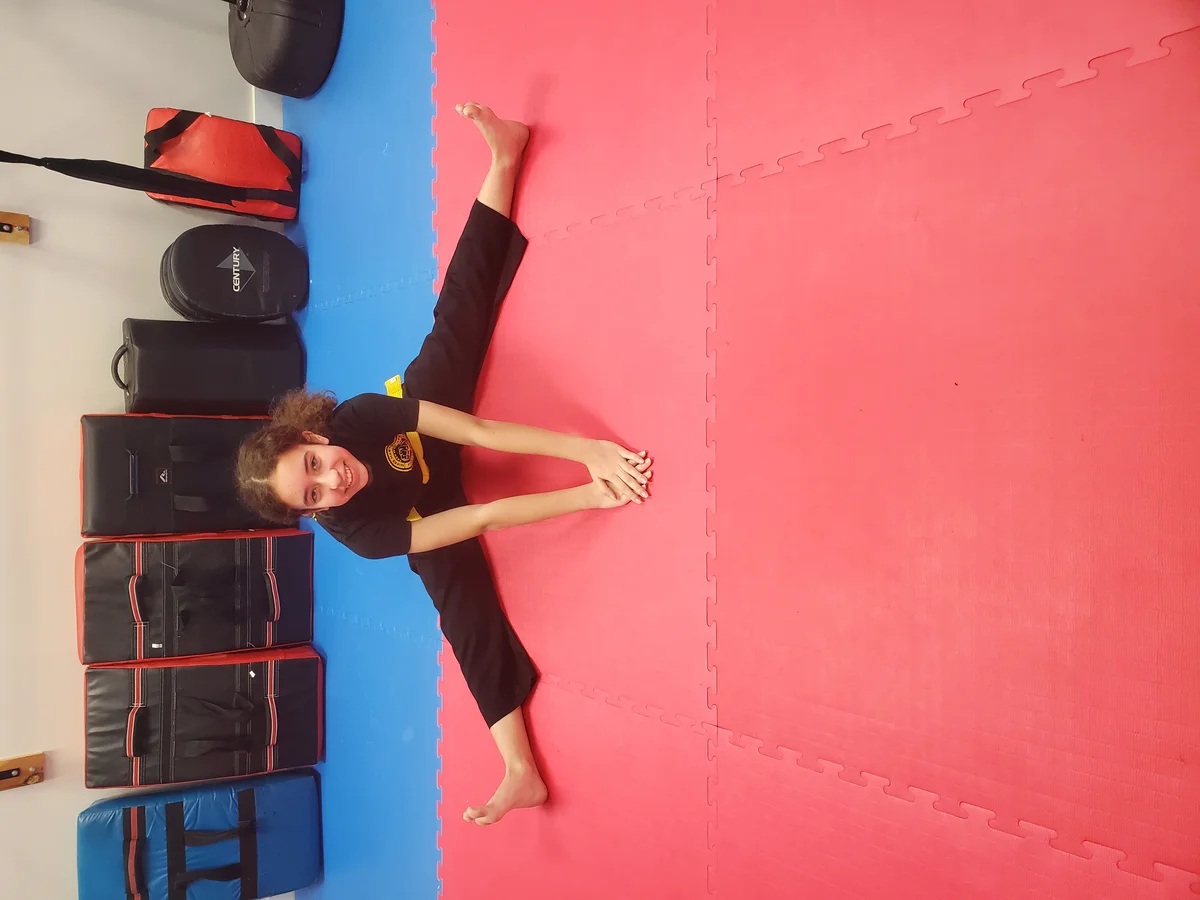 Taekwon-Do Mixed Martial Arts Fitness Academy (T.M.F.A.) facility image