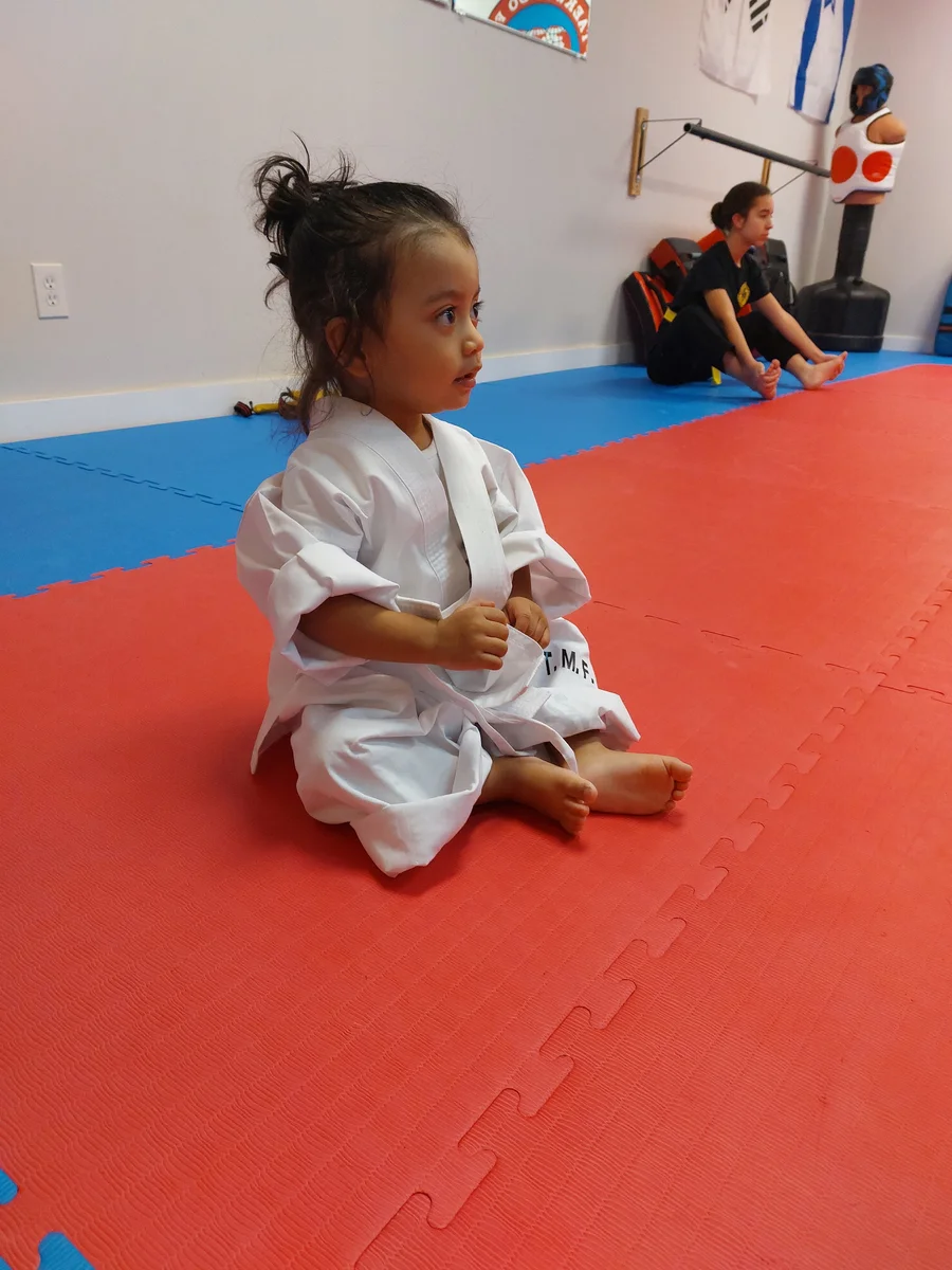 Taekwon-Do Mixed Martial Arts Fitness Academy (T.M.F.A.) facility image