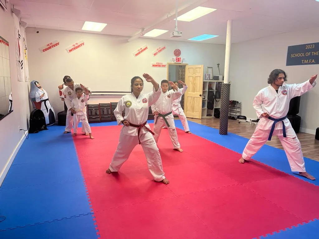 Taekwon-Do Mixed Martial Arts Fitness Academy (T.M.F.A.) facility image