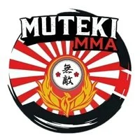 Phoenix Martial Arts Academy academy logo